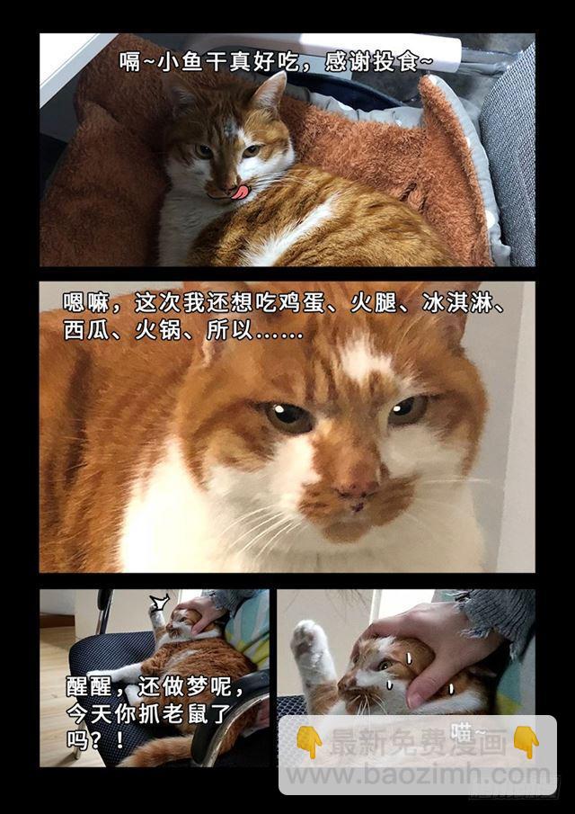 🍘我是大神仙 第一九五话·多管闲事 第16页