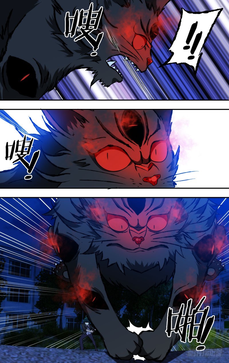 65.猫咪本色-第65话