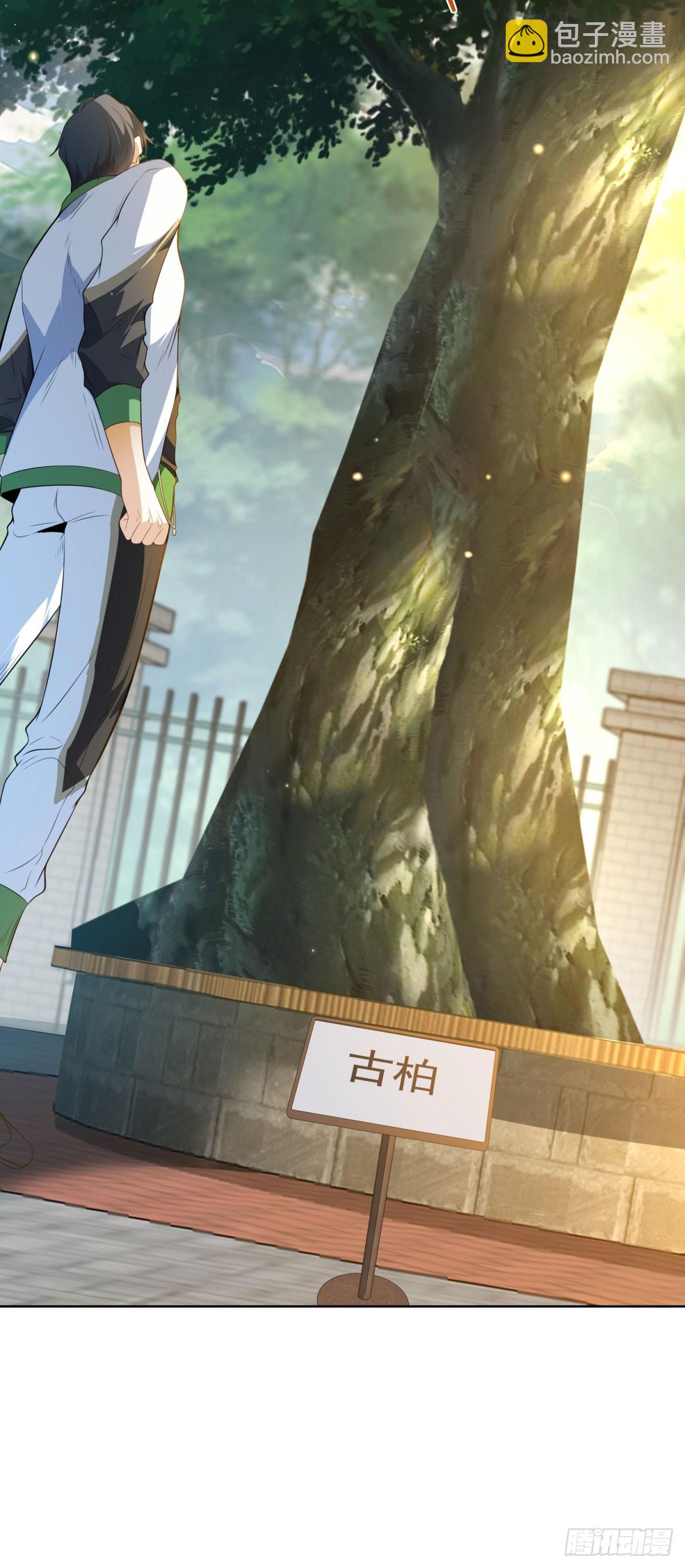 第2话 植物园拜师(1/2)-第3话
