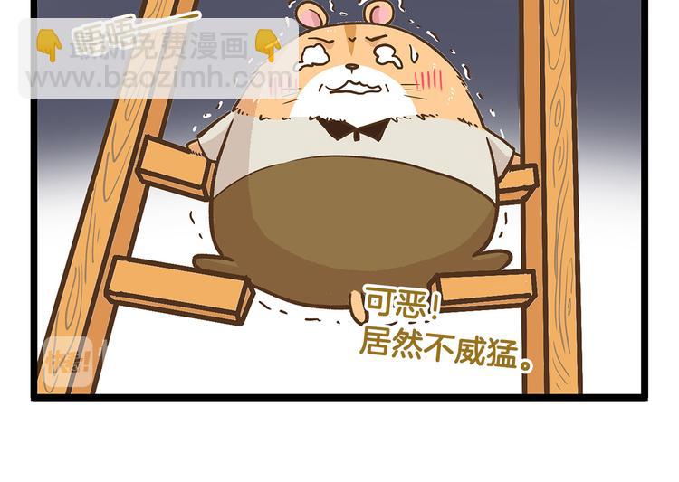 第23话 我真的没有卖萌！-第23话