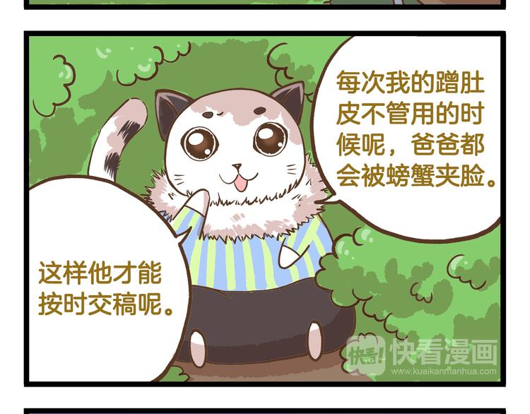 第39话 带我一起飞鸭！-第39话