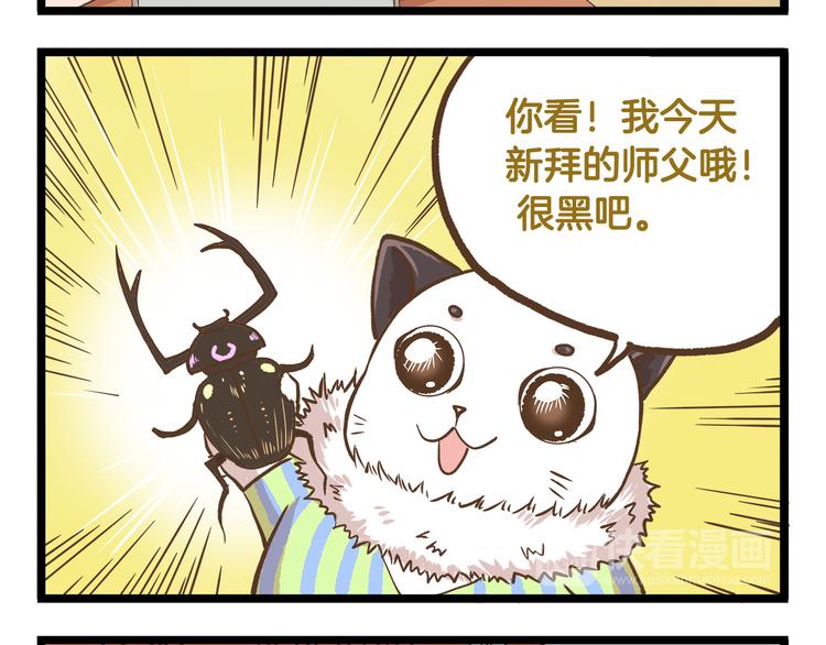 第39话 带我一起飞鸭！-第39话
