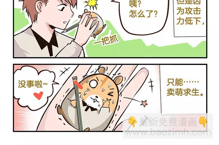 第5话 我才不卖萌呢！-第5话