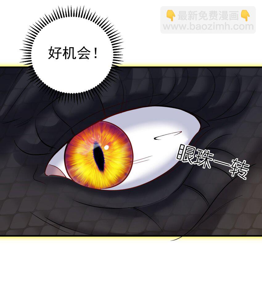 099 龙？凤？-第99话