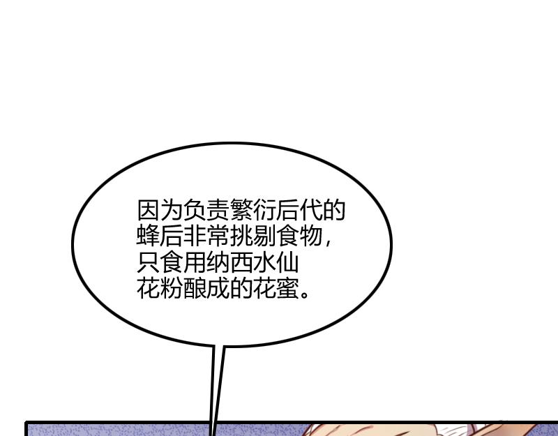第68话 纳西水仙(1/3)-第69话