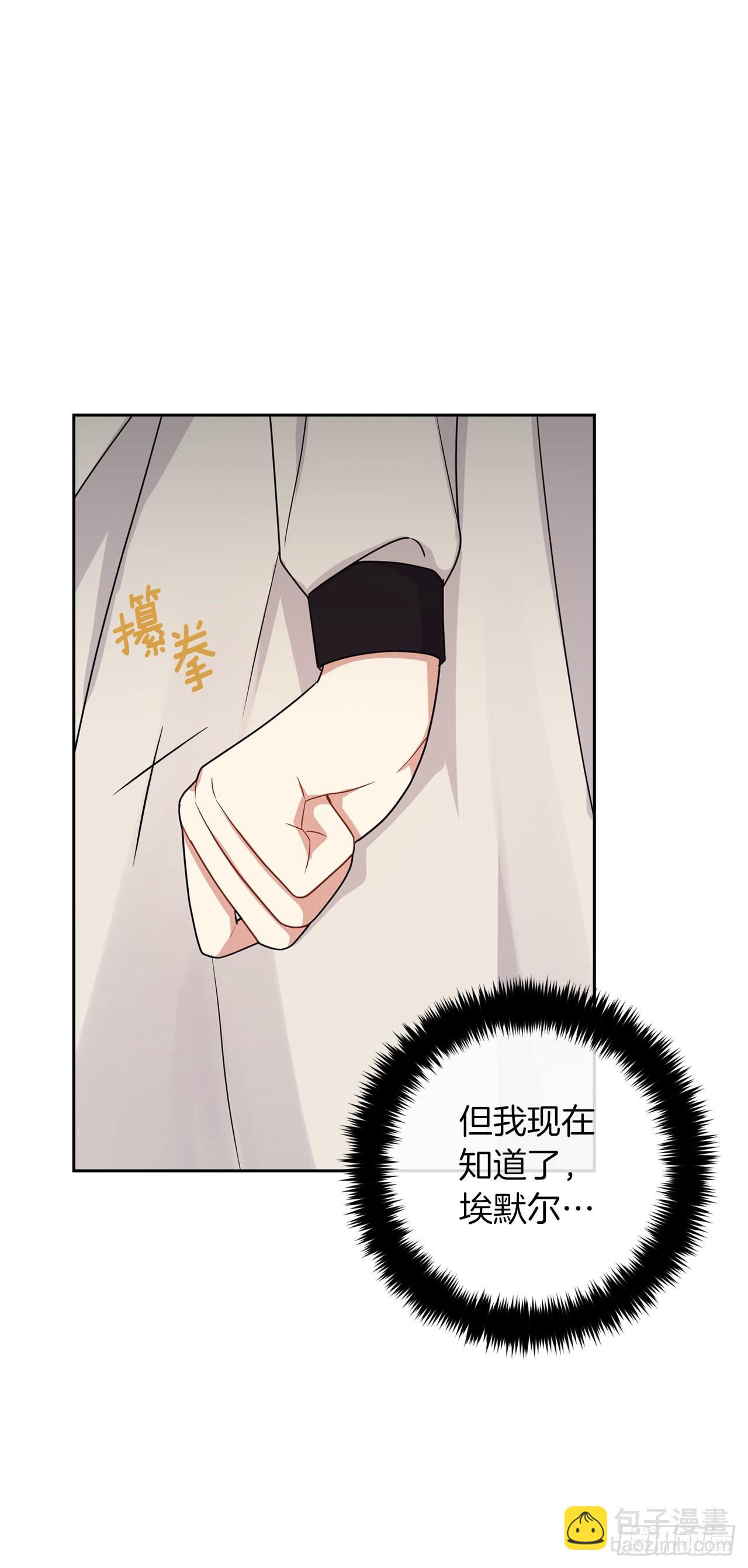 🍘我是这家的孩子 228.埃默尔脆弱的一面 第11页