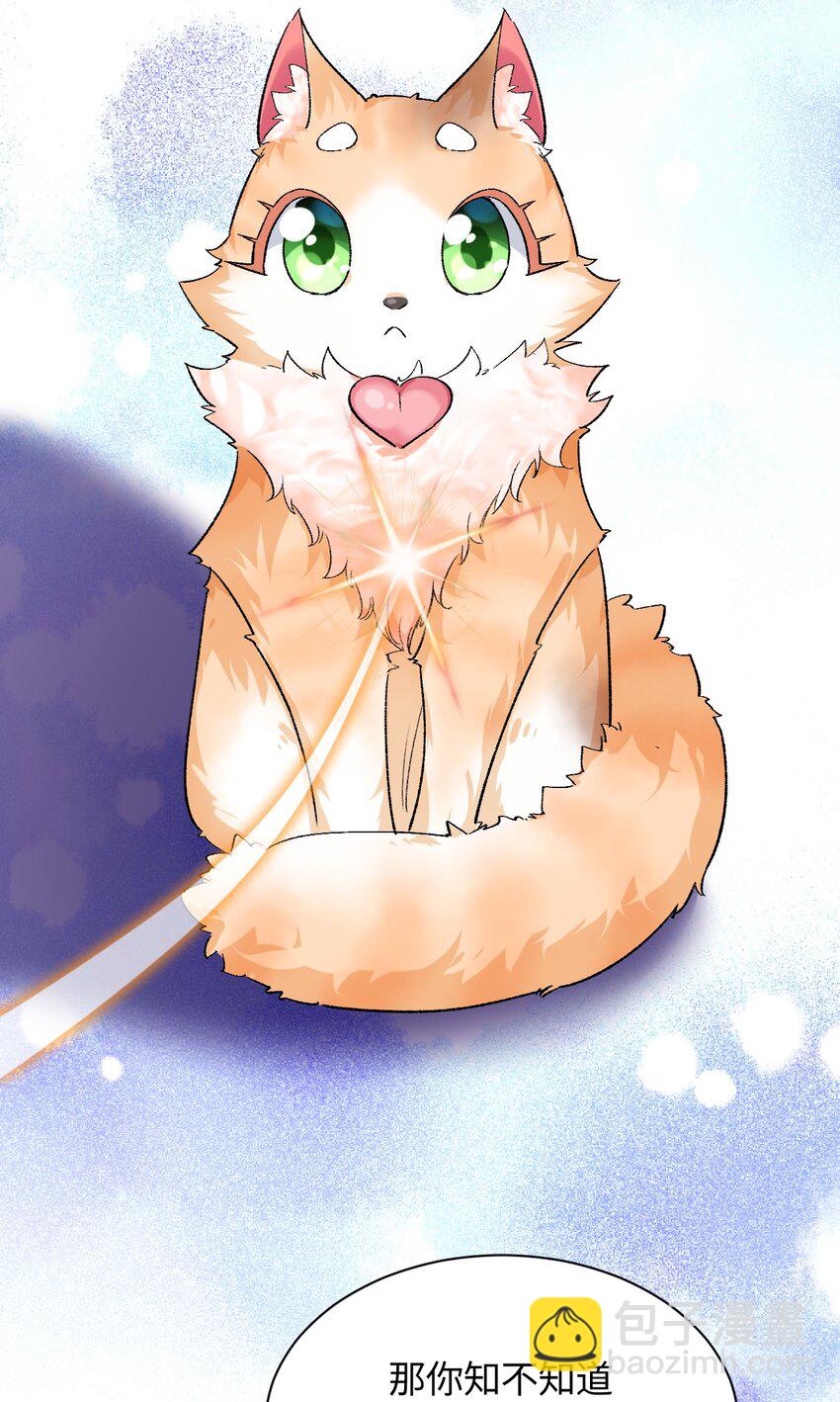 015 救猫咪！(1/2)-第15话