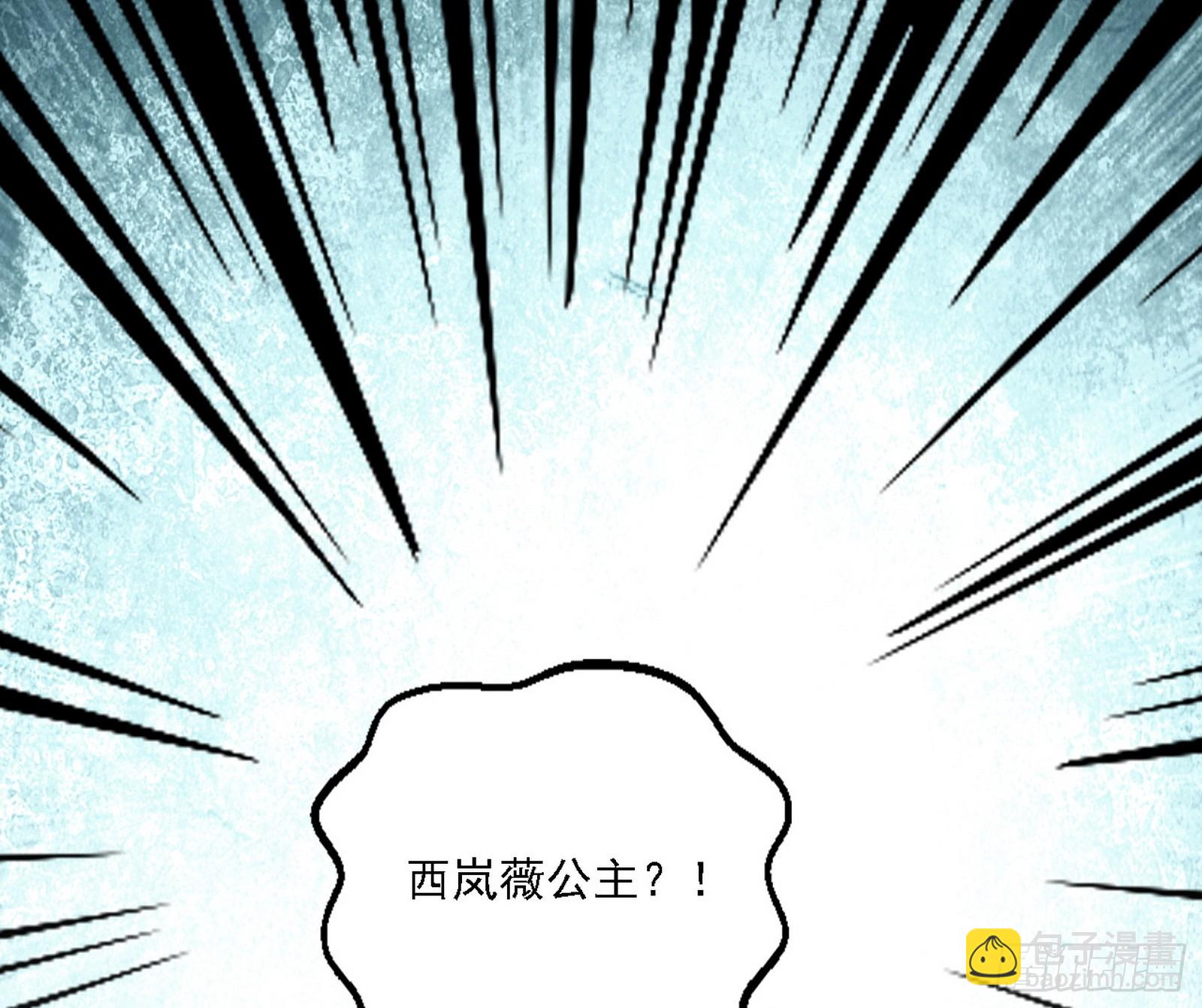 🍘我为邪帝 西岚公主西岚薇 第13页