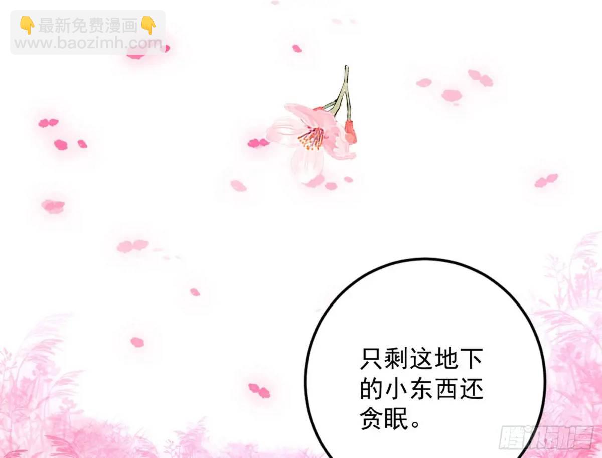🍘我为邪帝 练绮罗的理由和姬云涛的梦境 第29页
