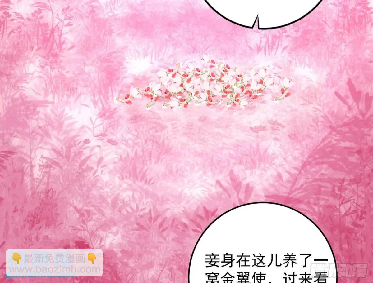 🍘我为邪帝 练绮罗的理由和姬云涛的梦境 第30页
