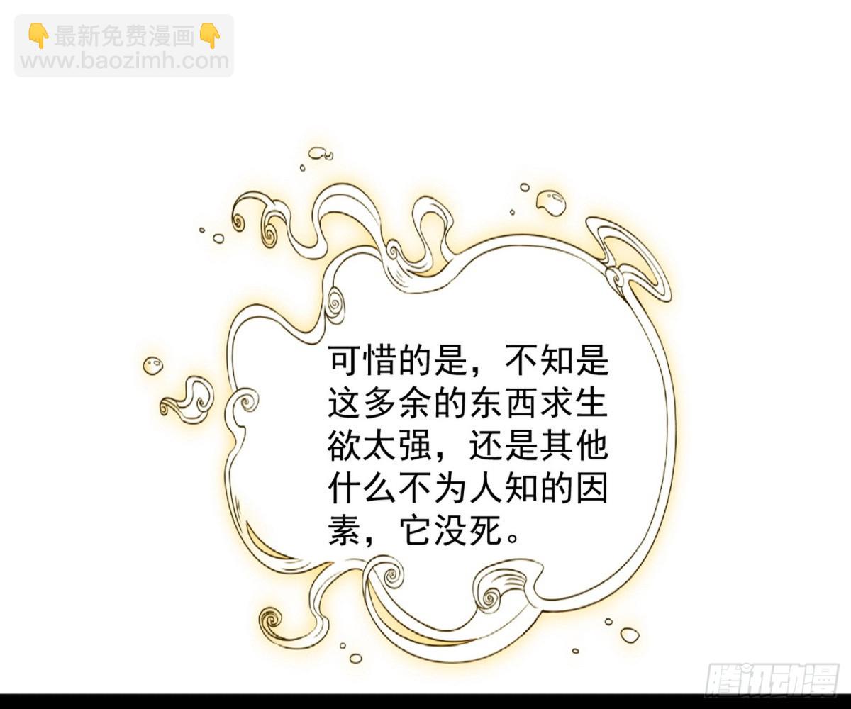 🍘我为邪帝 师与徒 第27页