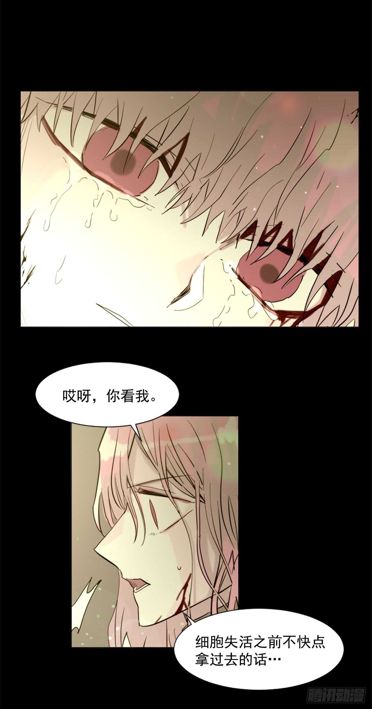 34.M的诞生-第35话
