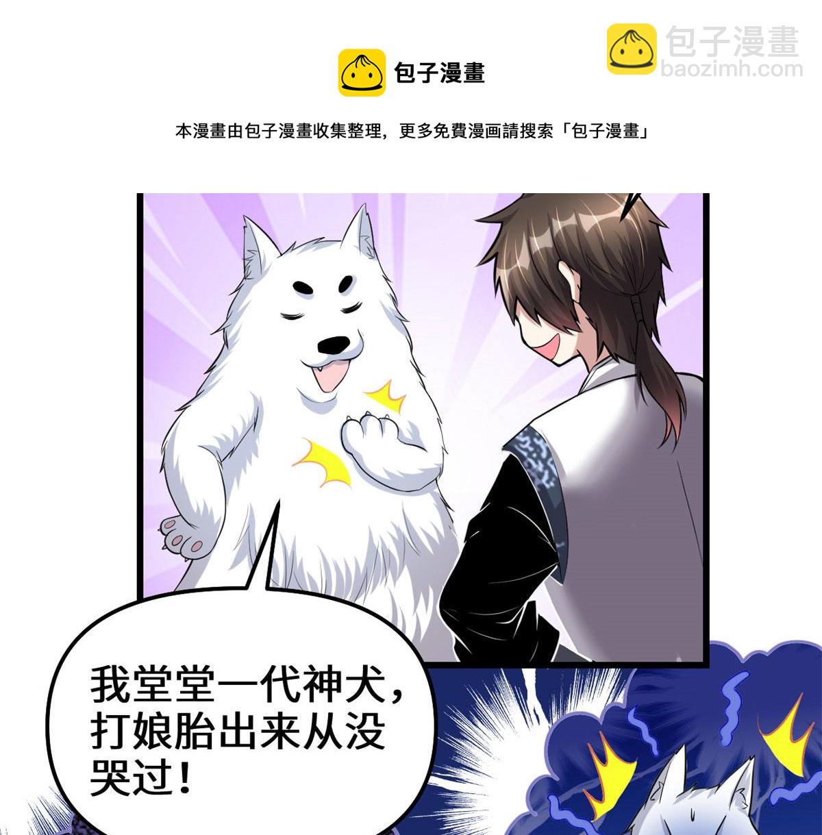 🍘我修的可能是假仙 231 化神渡劫 第17页
