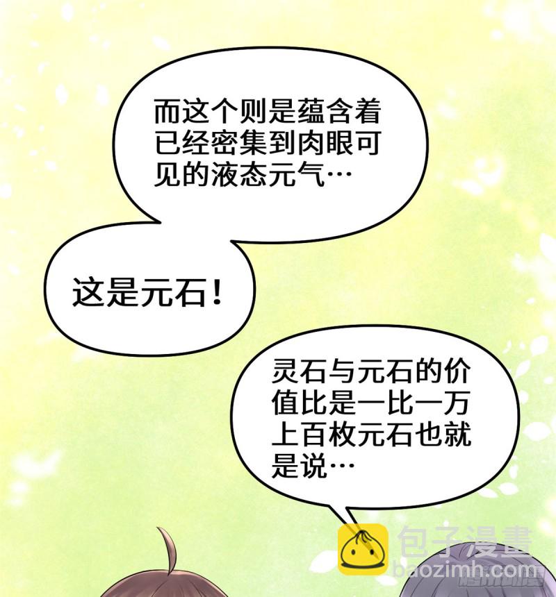 🍘我修的可能是假仙 第65话 氪金玩家 第28页