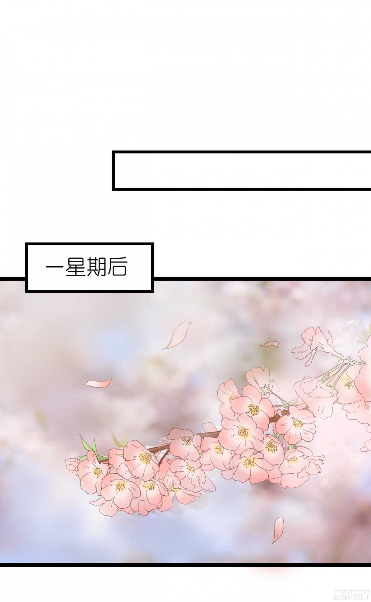 生日当天还要加班！？(1/2)-第69话
