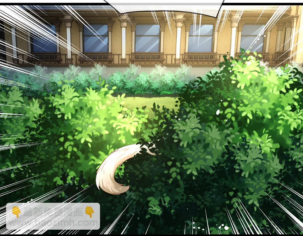 第176话 这只猫有问题(1/2)-第177话