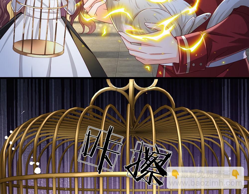 第176话 这只猫有问题(1/2)-第177话