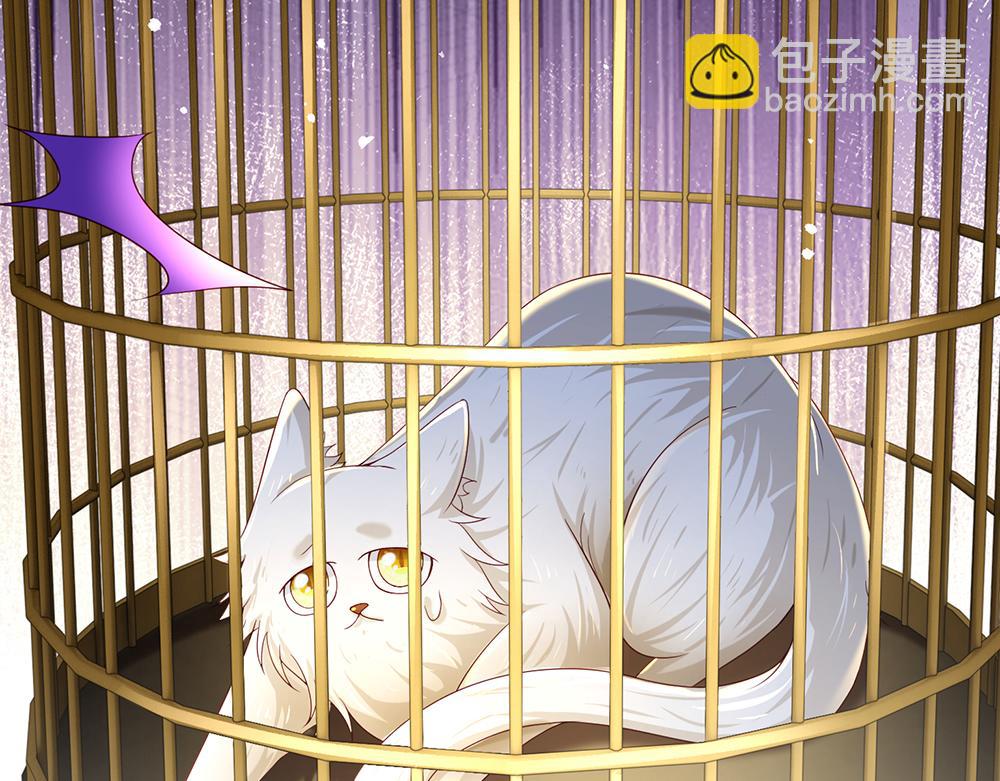 第176话 这只猫有问题(1/2)-第177话