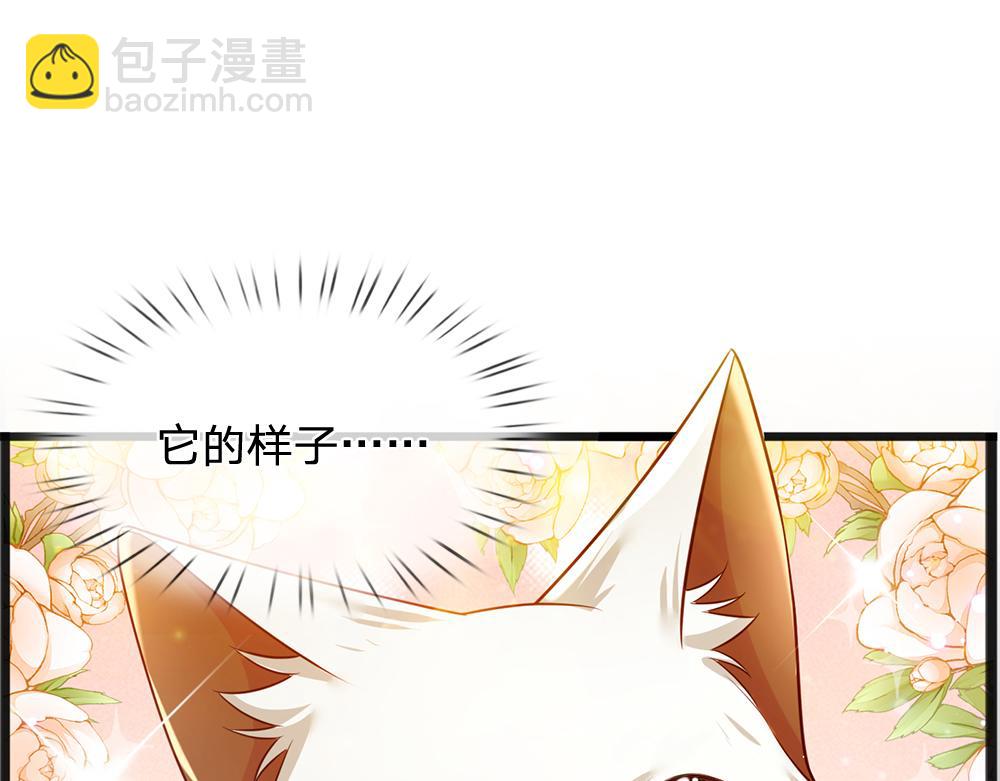 第186话 柔软的一面(1/2)-第187话