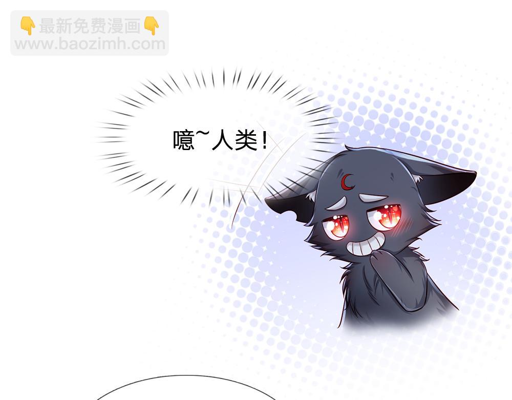 第206话 我们一起(1/2)-第207话