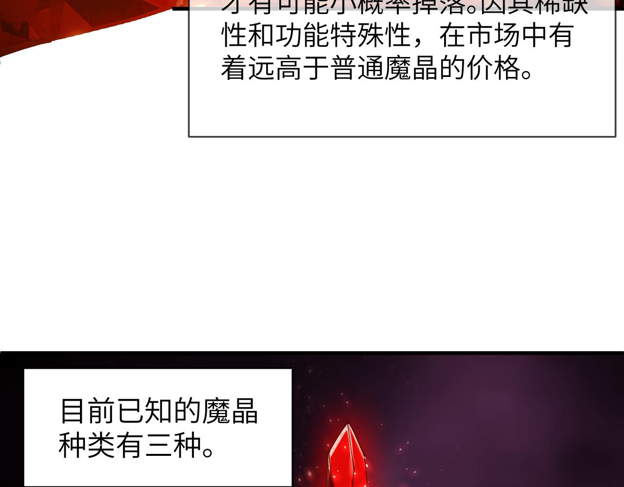 魂装的魔晶(1/4)-第33话