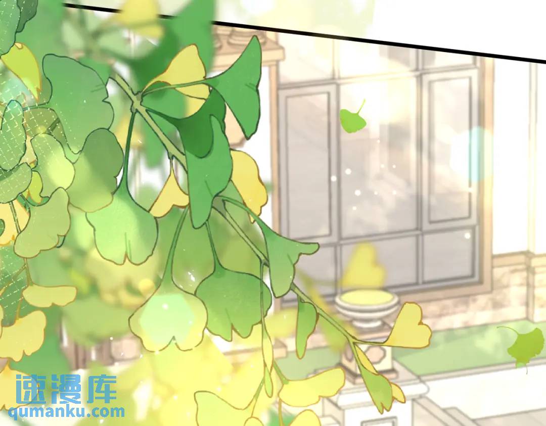 16 开车可以，但不可以飙车(1/3)-第17话