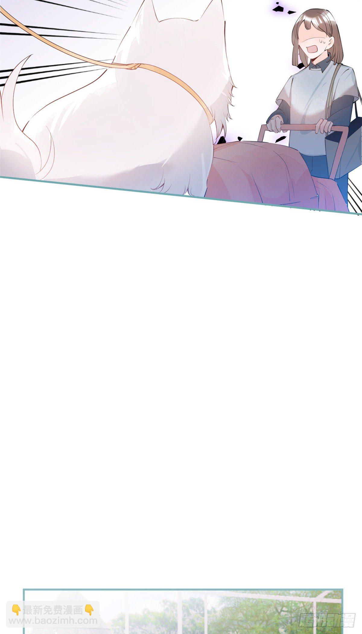 20(1/2)-第21话