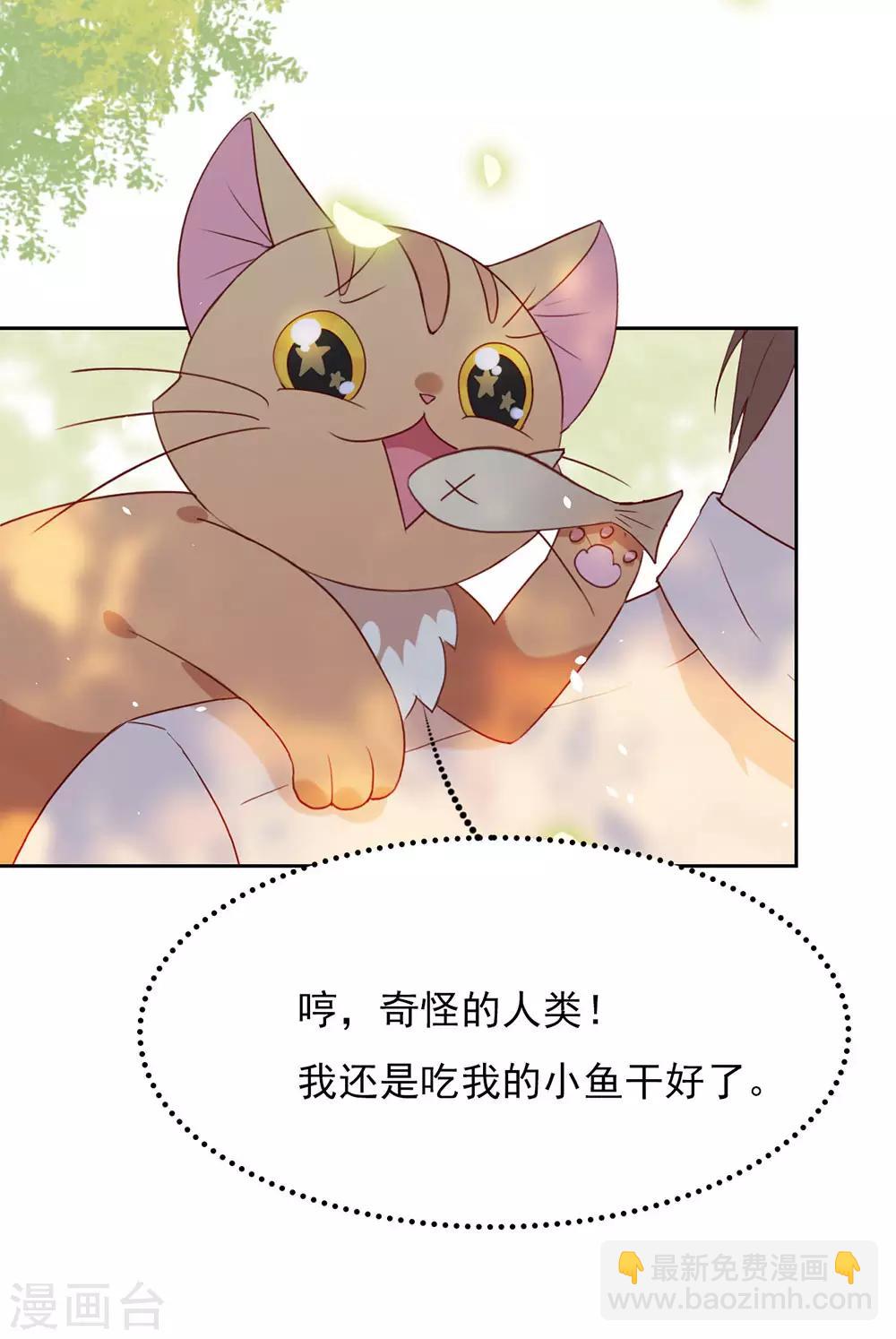 第5话 退婚？故事就崩了！-第5话