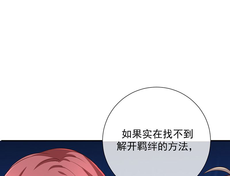 第14话被跟踪(1/2)-第15话