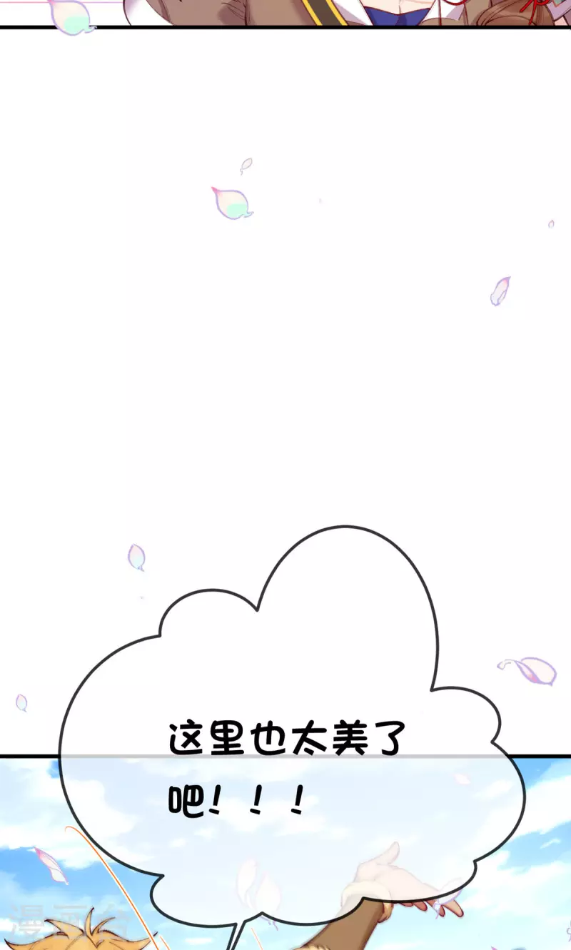 第18话 越漂亮的地方越危险-第19话