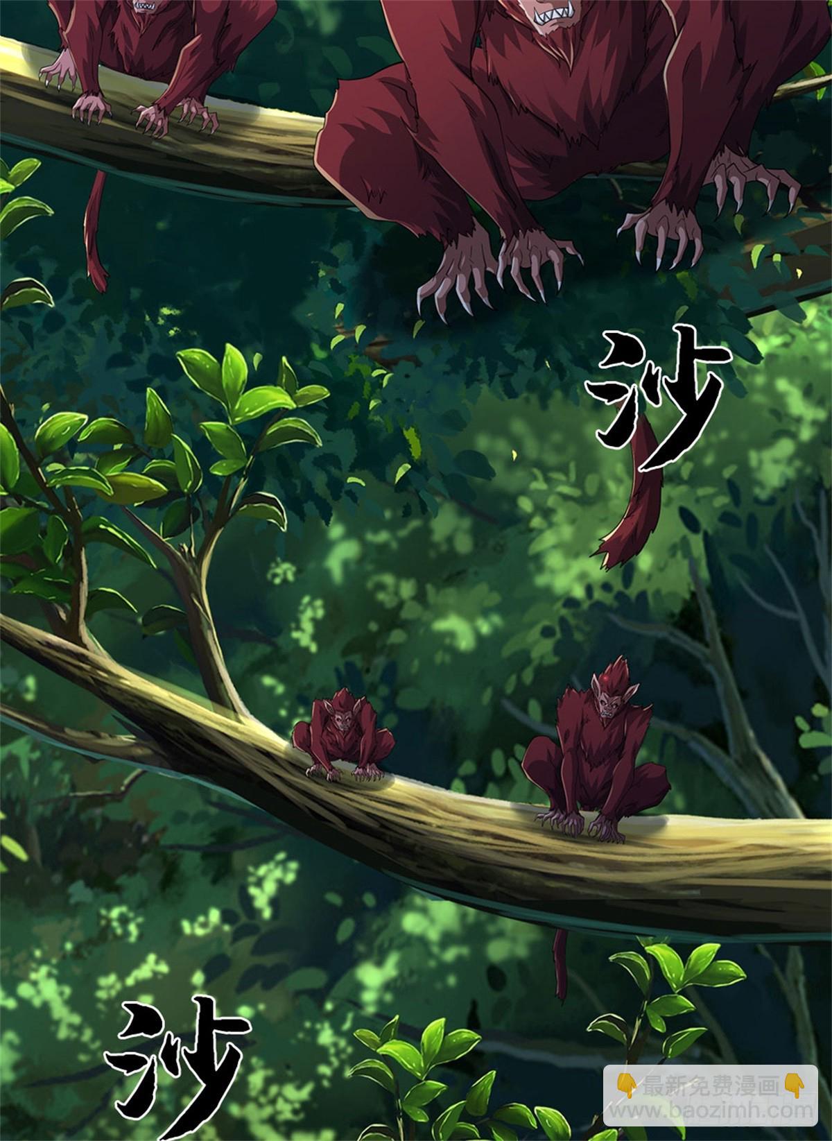 🍘 我在末日玄幻世界无敌了 第42话 对阵猴群 第13页