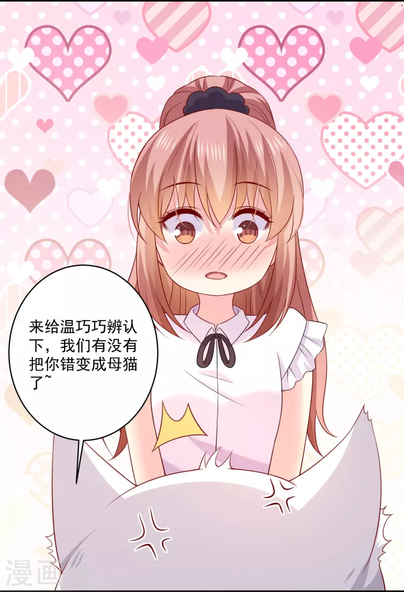 第145话 白夜猫猫！-第145话