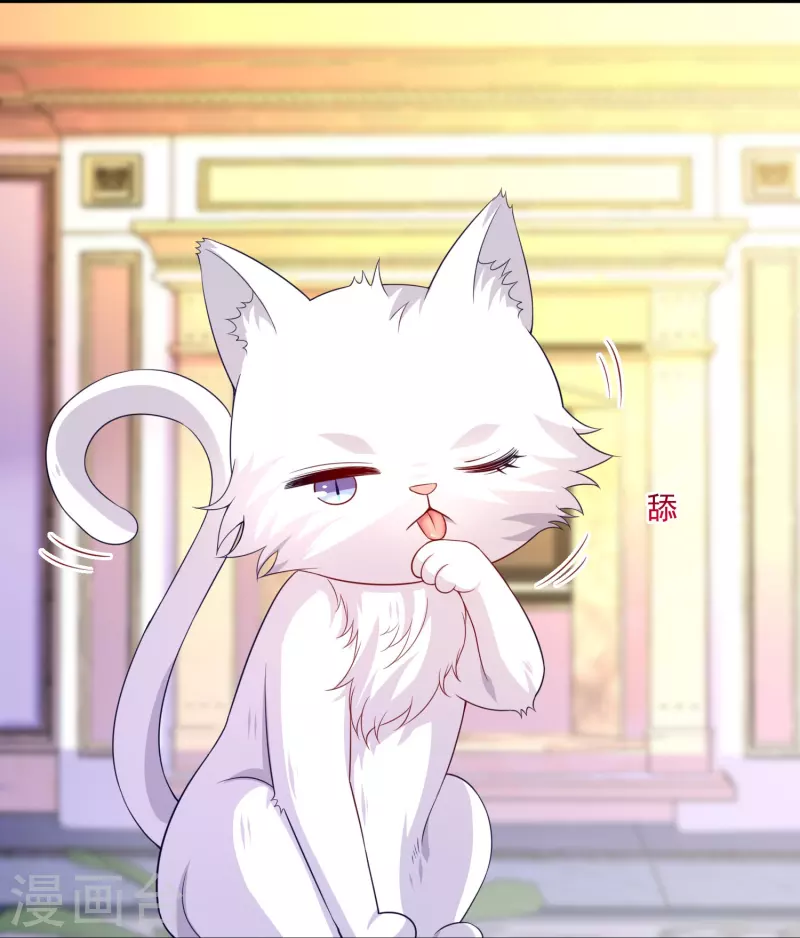 第145话 白夜猫猫！-第145话