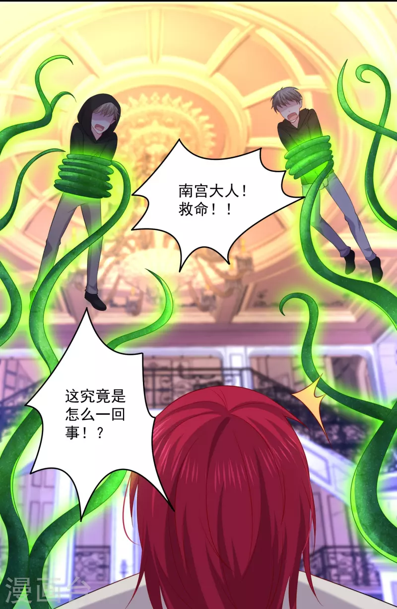 第145话 白夜猫猫！-第145话