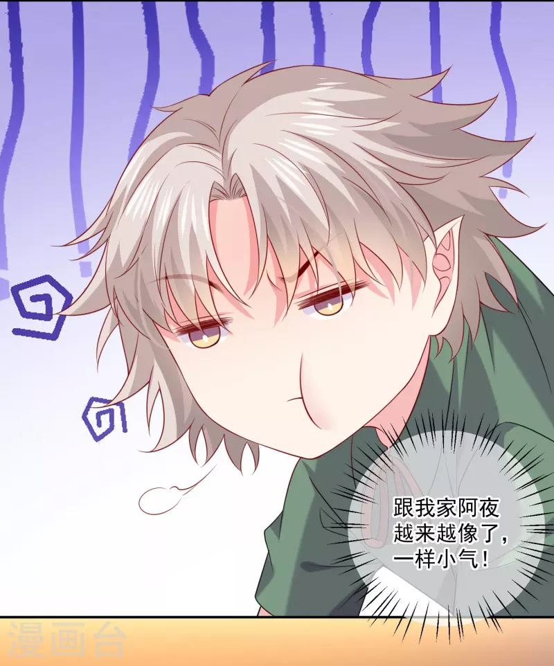 第145话 白夜猫猫！-第145话