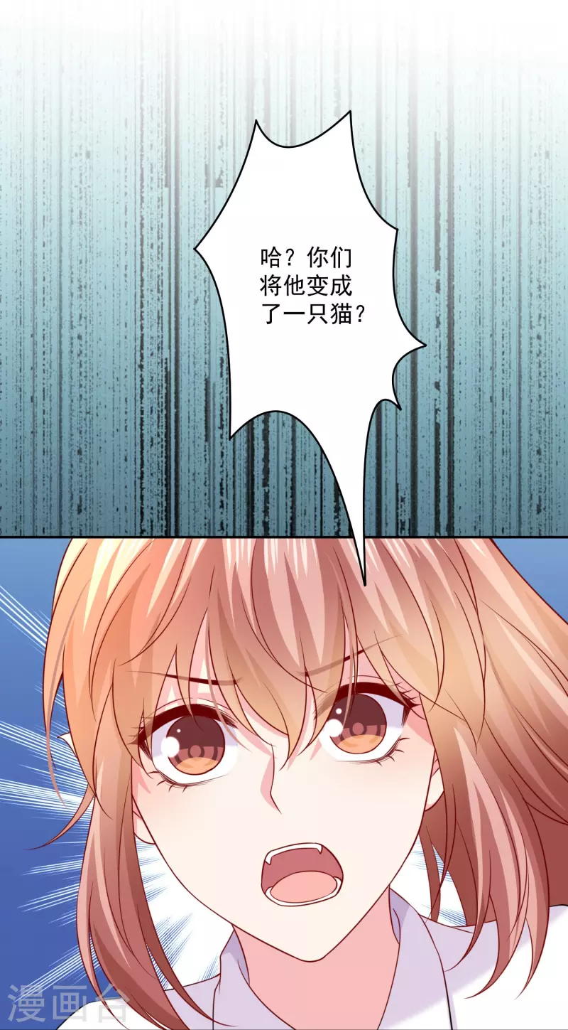 第145话 白夜猫猫！-第145话