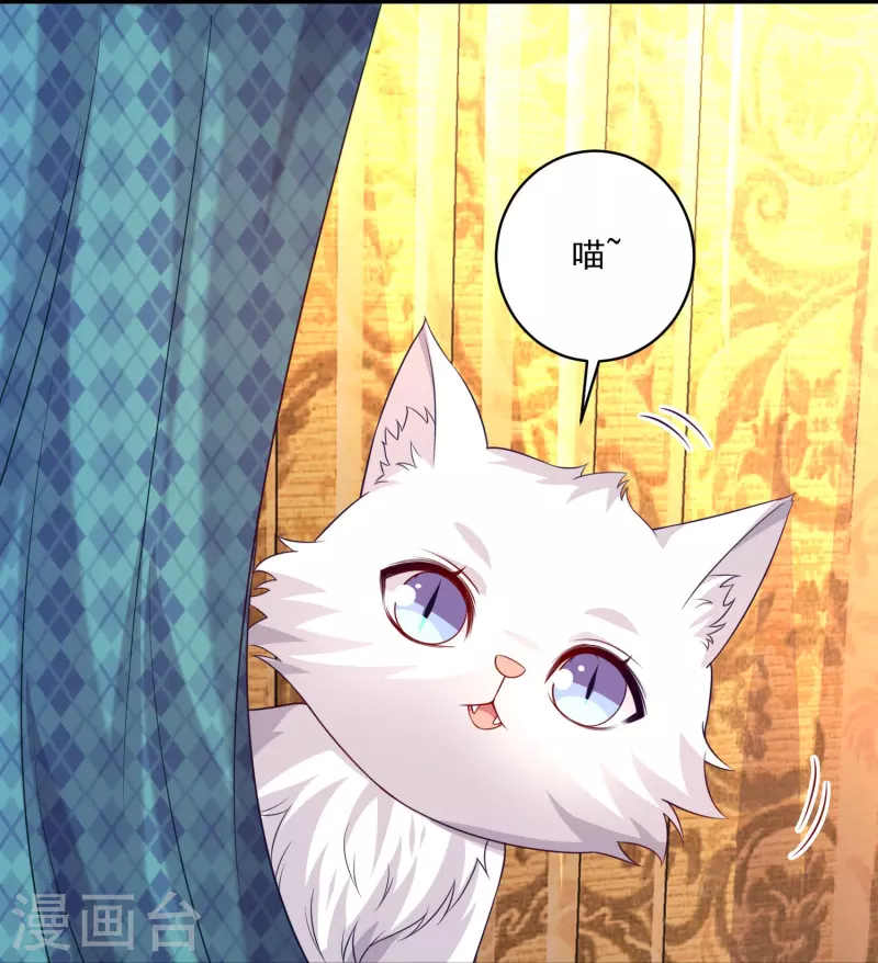 第145话 白夜猫猫！-第145话