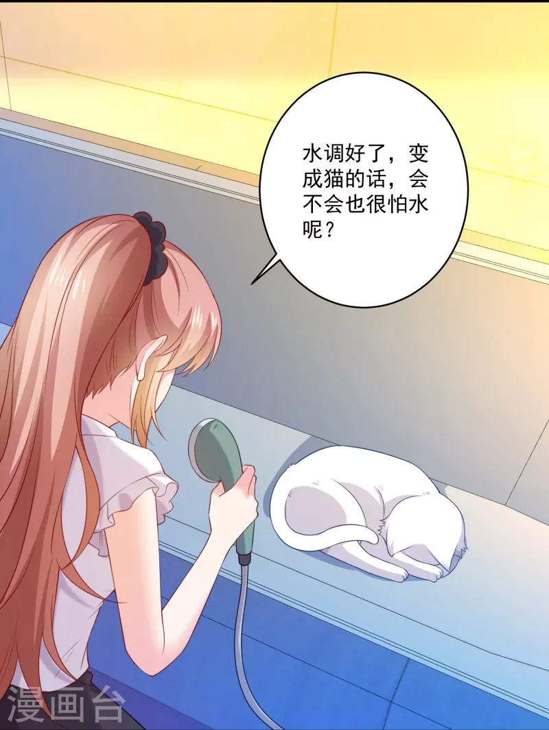 第147话 给猫猫洗澡-第147话