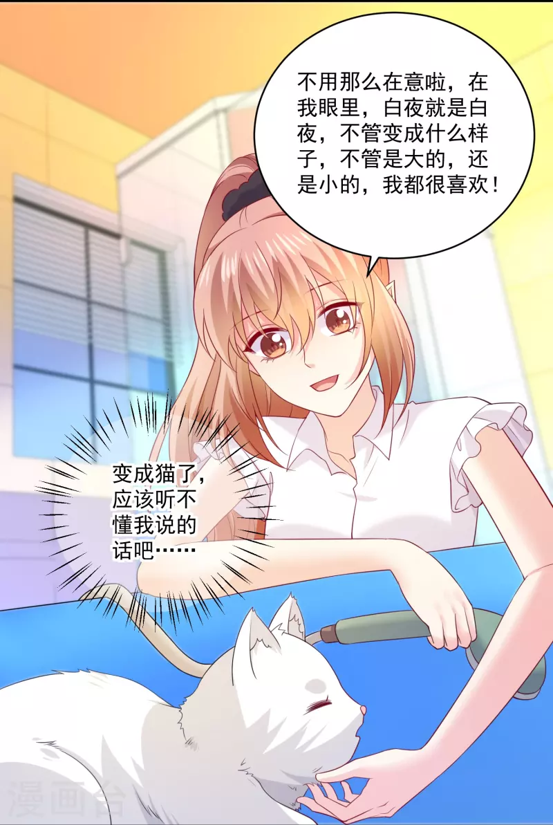第147话 给猫猫洗澡-第147话