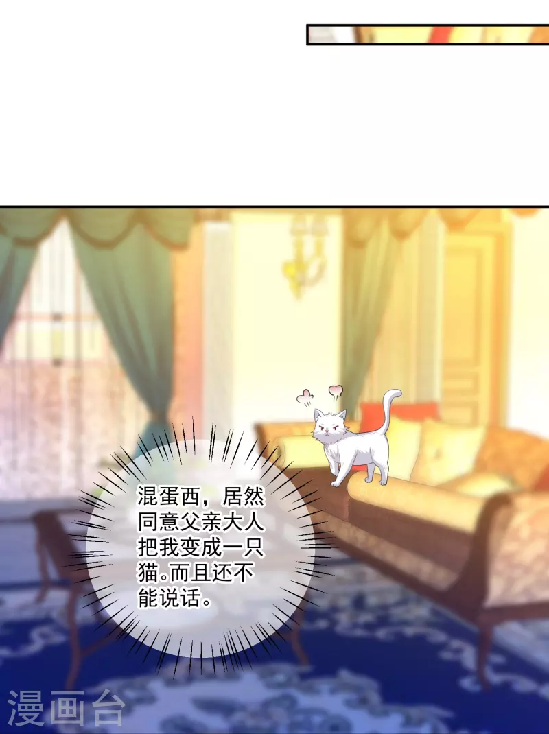 第147话 给猫猫洗澡-第147话