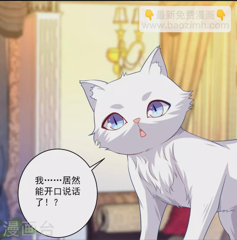 第147话 给猫猫洗澡-第147话