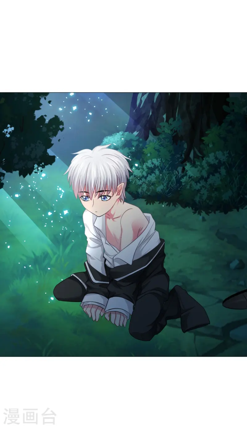 第164话 小白夜专属回忆录-第165话