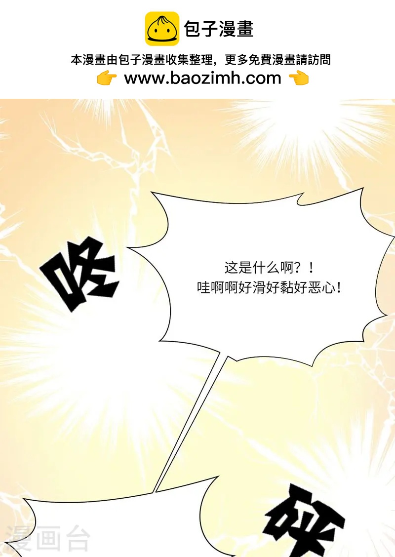 第166话 小白夜专属回忆录3-第167话