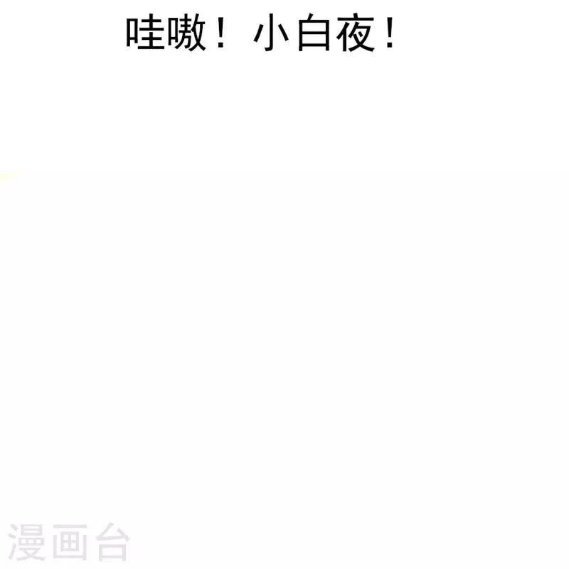 第31话 哇嗷！是小白夜！-第31话