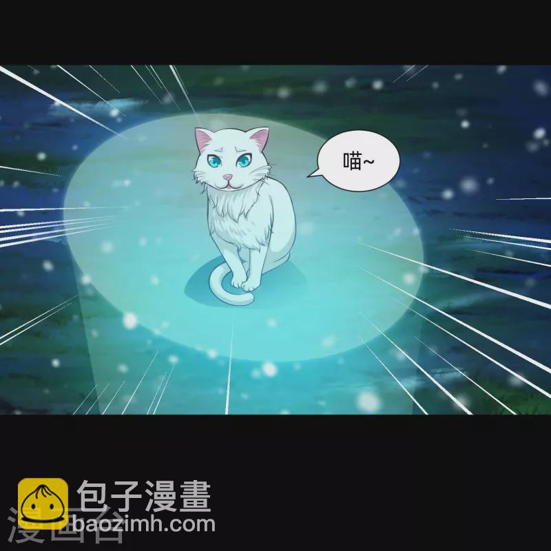 第77话 这是谁家的小猫咪！(1/2)-第77话
