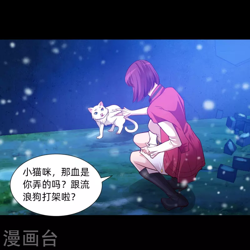 第77话 这是谁家的小猫咪！(1/2)-第77话