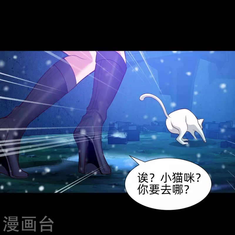 第77话 这是谁家的小猫咪！(1/2)-第77话