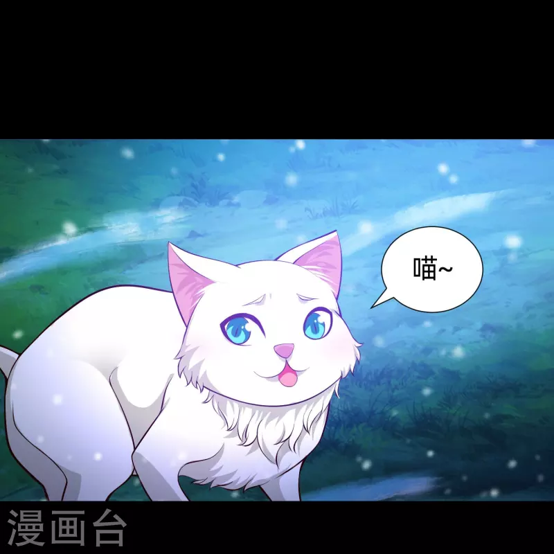 第77话 这是谁家的小猫咪！(1/2)-第77话