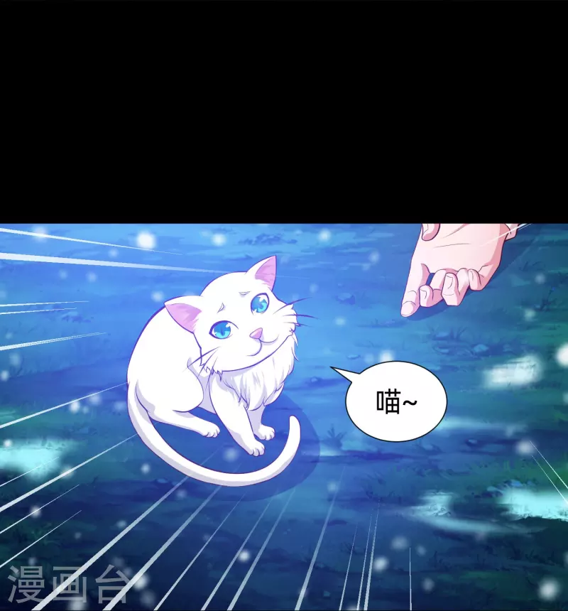 第77话 这是谁家的小猫咪！(1/2)-第77话