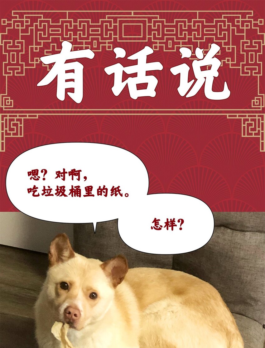 019 俊男，社会是很险恶的-第23话